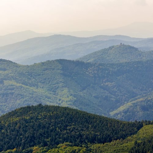 view-of-vosges-mountains-in-alsace-france-scaled.jpg